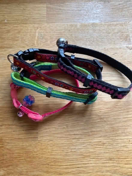 Photo of free 4 unused cat collars (Southdown AL5) #1