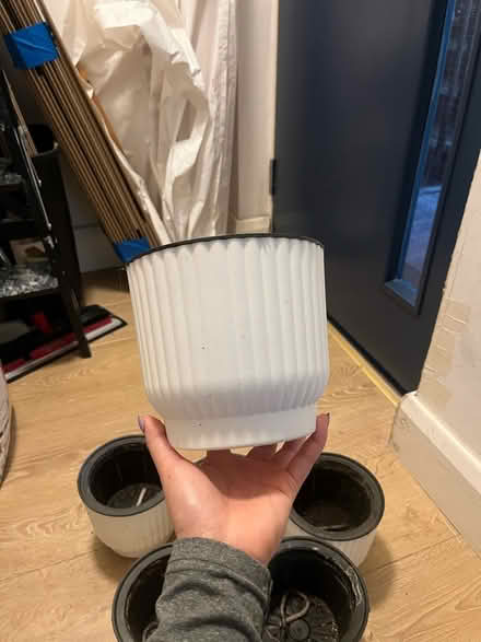 Photo of free 6X small plant pots (N19) #3