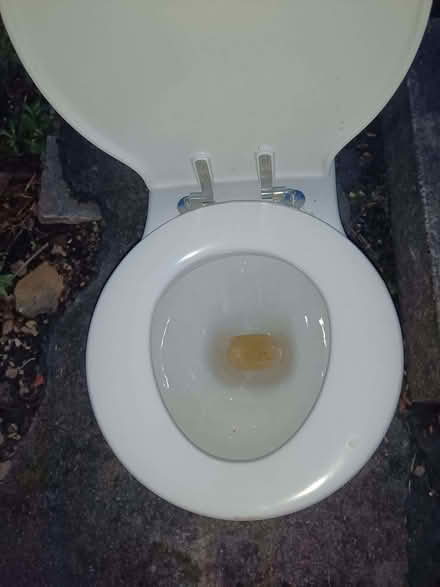 Photo of free Toilet – working order, with cistern (Meanwood LS6) #3