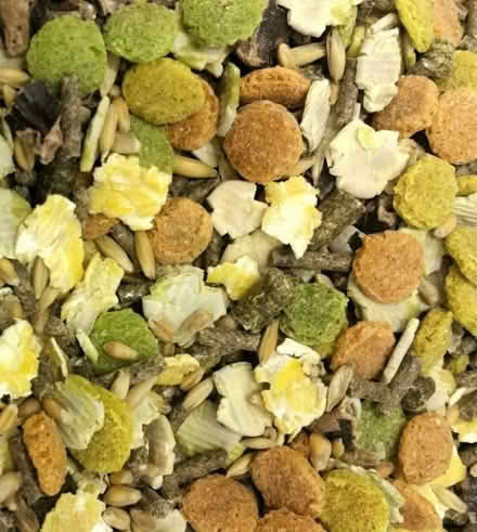 Photo of free Rabbit food Milford (GU8 5BA) #1
