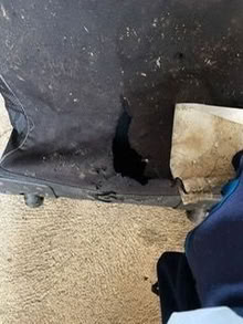 Photo of free Cricket bag (Southdown AL5) #1