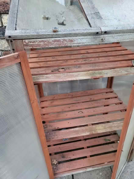Photo of free Mini greenhouse (Liberton EH16) #4
