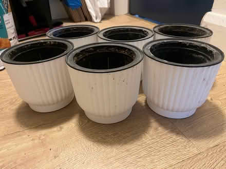 Photo of free 6X small plant pots (N19) #2