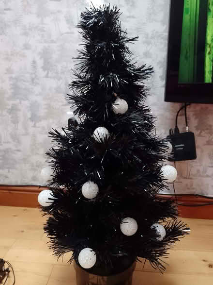 Photo of free Fibre optic Xmas tree (Wirksworth DE4) #2