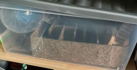 Photo of free Hamster cage an accessories (Wadsley S6) #2