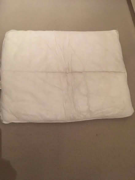 Photo of free Dog bed pad (Chiswick W4) #1