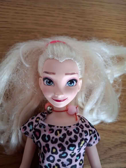 Photo of free 2 Barbie type dolls (Newall LS21) #3