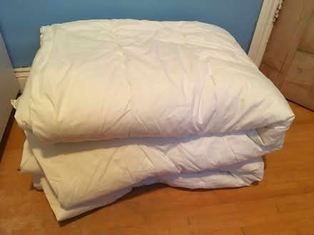 Photo of free 2 single duvets (Grandpont OX1) #2