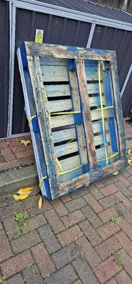 Photo of free New palet (Addiscombe) #1