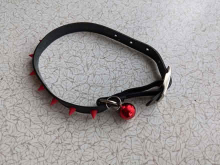 Photo of free Cat Collar with bell. (Caldecott OX14) #1