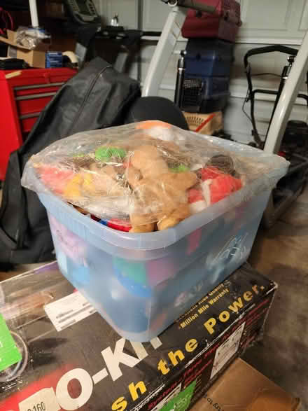 Photo of free Tub of beanie babies (Towne Lake park) #2