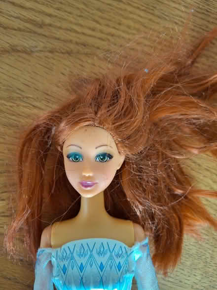 Photo of free 2 Barbie type dolls (Newall LS21) #4