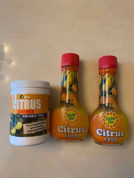 Photo of free Citrus plant food (Staines TW18) #1