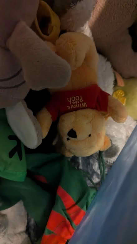 Photo of free Stuffed toys bag (M20 Withington) #4