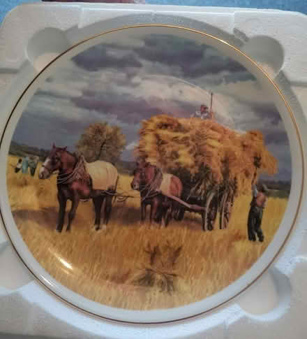 Photo of free Bone China plate (Ashton-U-Lyne OL6) #1