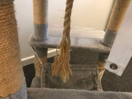 Photo of free Feandrea cat tree (Murdishaw WA7) #4