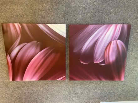 Photo of free 2 canvas pictures (Woodhouse S13) #1