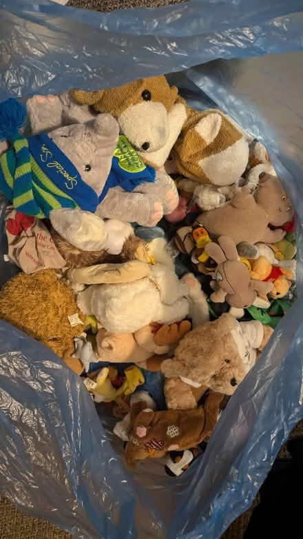 Photo of free Stuffed toys bag (M20 Withington) #1