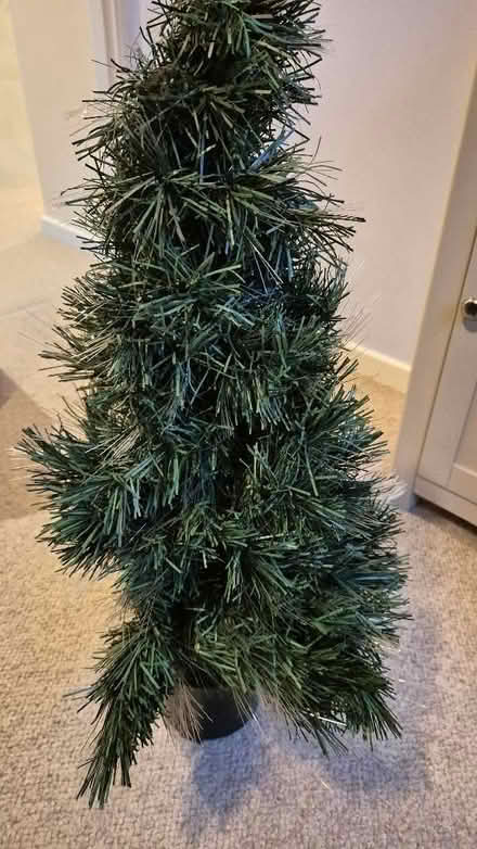 Photo of free Small Chris tree 2ft tall (Belvidere SY2) #1