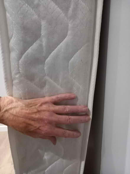 Photo of free Single mattress (Merley) #3
