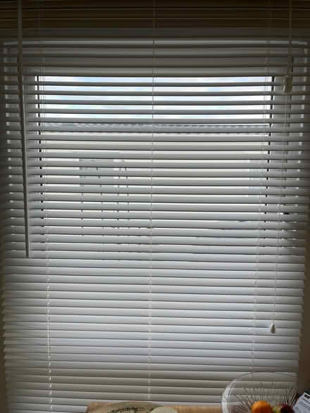 Photo of free Venetian Blinds x 6 (Stonehouse GL10) #1