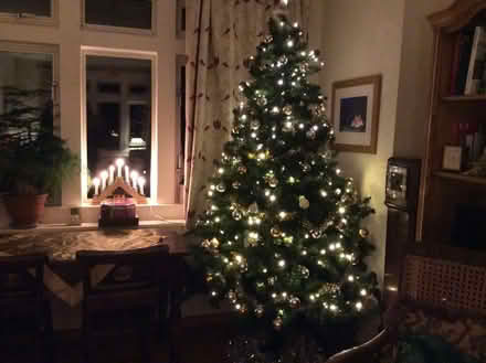 Photo of free Christmas tree with decorations and lights (Thornhill S33) #1
