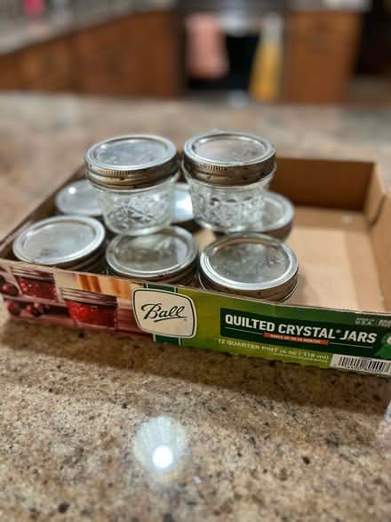 Photo of free 9 Ball jars with lids, 1/4 pint (North Frederick) #2