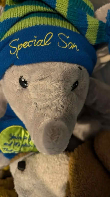 Photo of free Stuffed toys bag (M20 Withington) #3