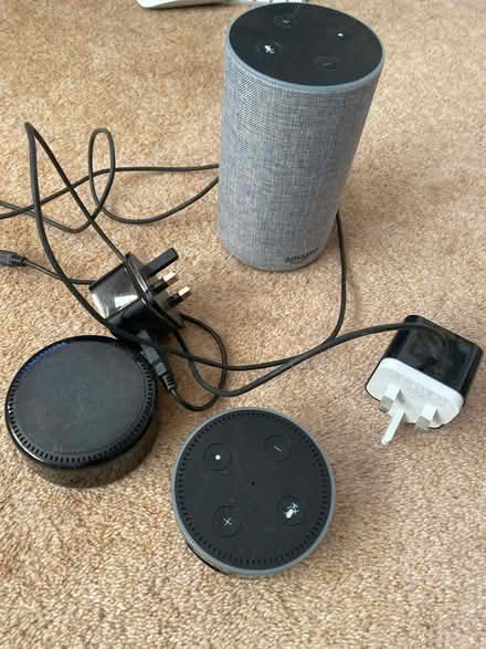 Photo of free Alexa’s (Bedford road hitchin SG5) #1