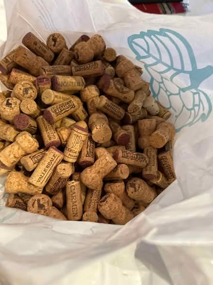 Photo of free 300+ genuine wine corks (Bedford, MA) #1