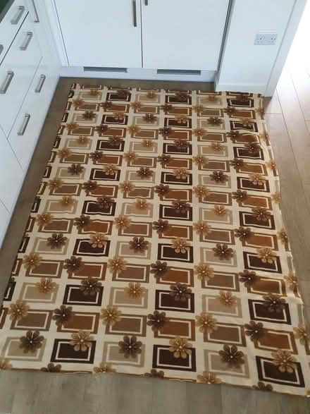 Photo of free Big blanket (Burgess Park SE5) #1