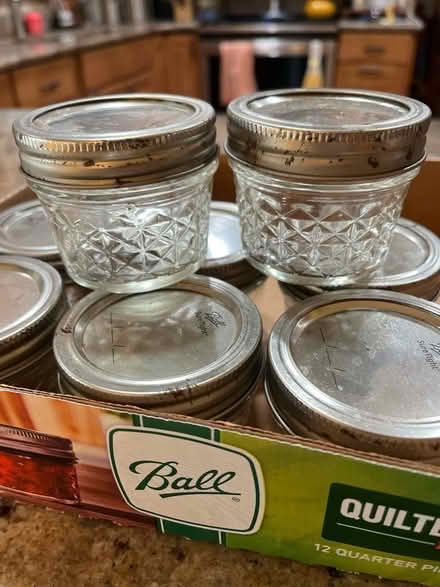 Photo of free 9 Ball jars with lids, 1/4 pint (North Frederick) #1