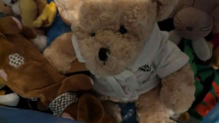 Photo of free Stuffed toys bag (M20 Withington) #2