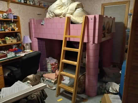 Photo of free Twin size princess loft bed (S. Billerica) #1