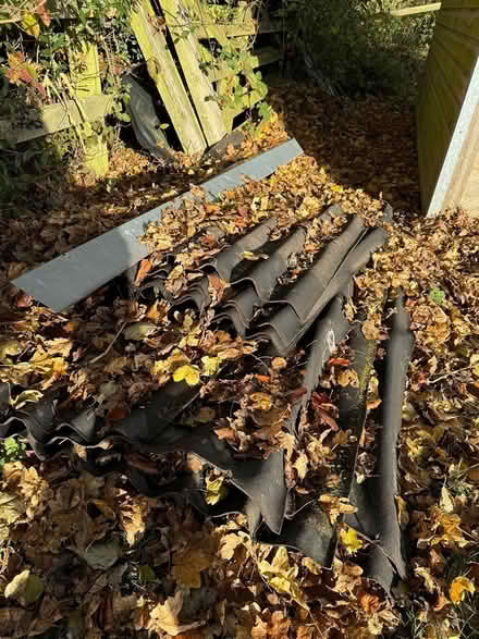 Photo of free Onduline sheets (used) (SG7) #2