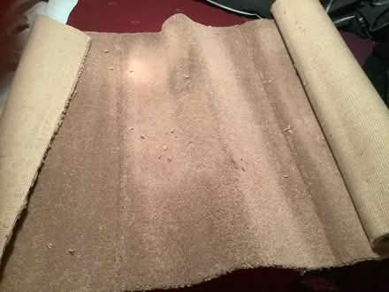 Photo of free Carpet offcuts (BA11) #1
