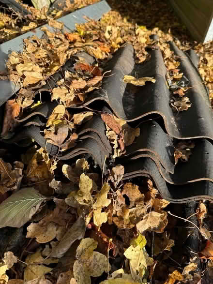 Photo of free Onduline sheets (used) (SG7) #1