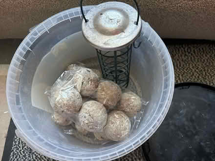 Photo of free Garden bird feeder (SG7) #1