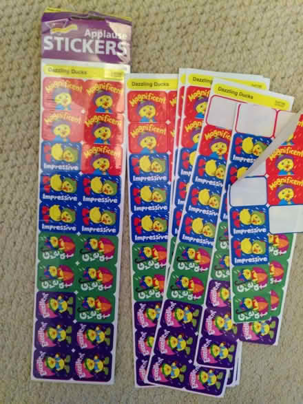Photo of free Dazzling duck applause stickers (North Woodchester GL5) #1