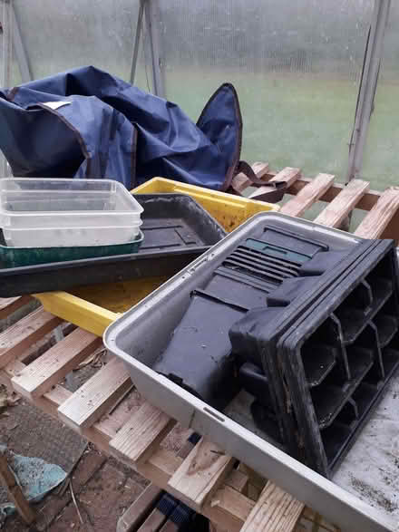 Photo of free Seed Trays (CT3) #2