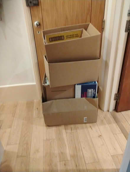 Photo of free Empty boxes x 7 (and rising) (St leonards TN38) #1