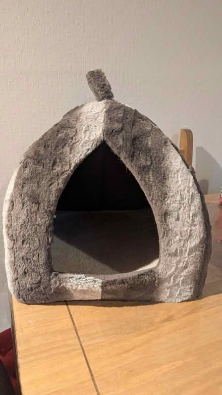 Photo of free Cozy cat bed (NW10) #1