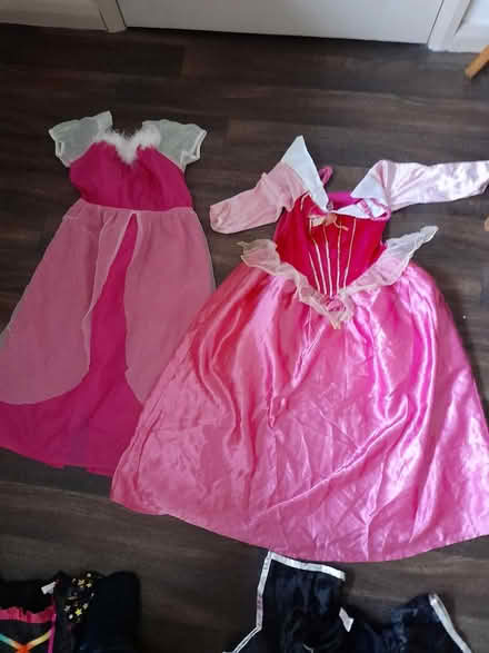 Photo of free Dressing up (B/S Parsonage Estate) #1