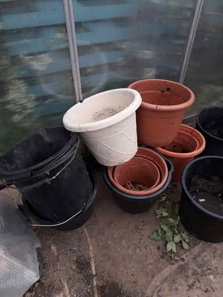 Photo of free Buckets and Large Plant Pots (CT3) #1