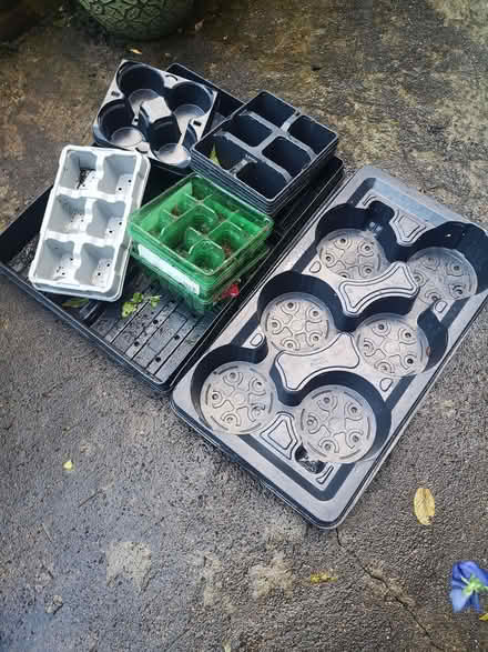 Photo of free Plant trays (Heelands MK13) #1