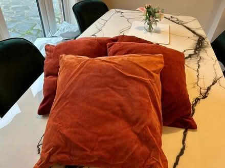 Photo of free orange cushions (West horndon) #1