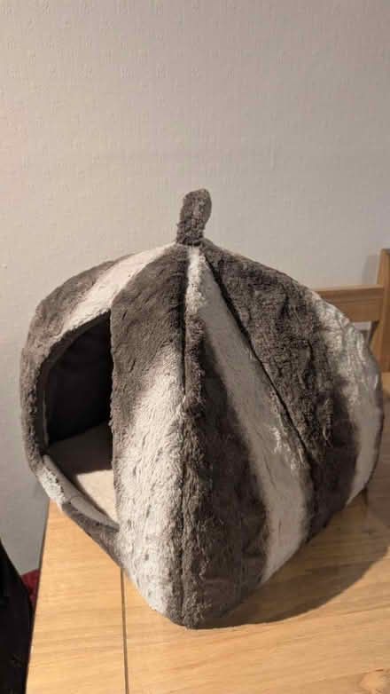 Photo of free Cozy cat bed (NW10) #2