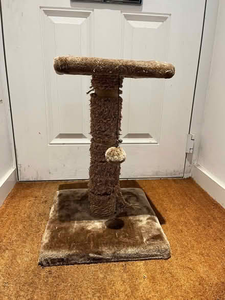 Photo of free Used cat scratching post (Bevendean BN2) #1