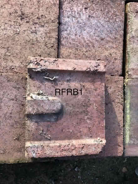 Photo of Purple fire bricks (IP4) #2
