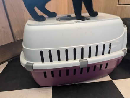 Photo of free Cat box (Stadhampton, OX44) #2